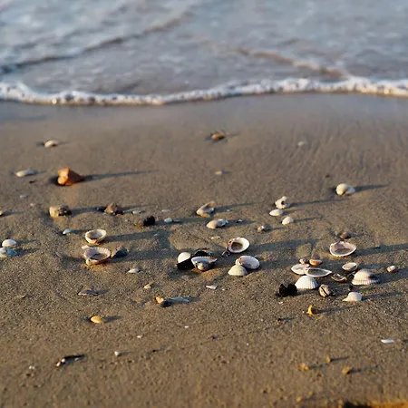 Appartement Functional Flat Just 250mt From The Bibione