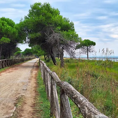 Adorable Flat 250 M From The Lejlighed Bibione