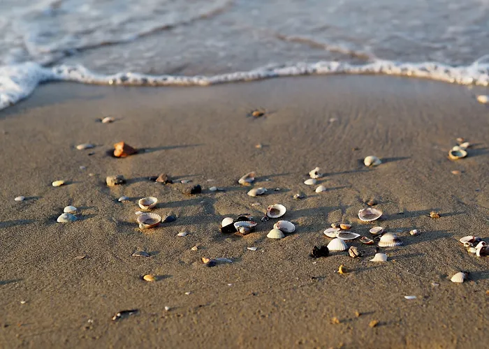 Functional Flat Just 250mt From The